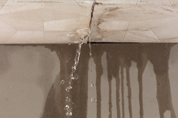 Professional Flood Damage Cleanup technician working in Deming, WA
